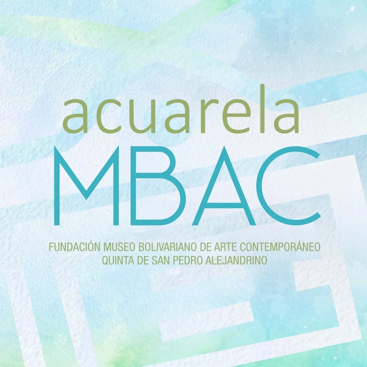 Museo Bolivariano de Arte Contemporáneo