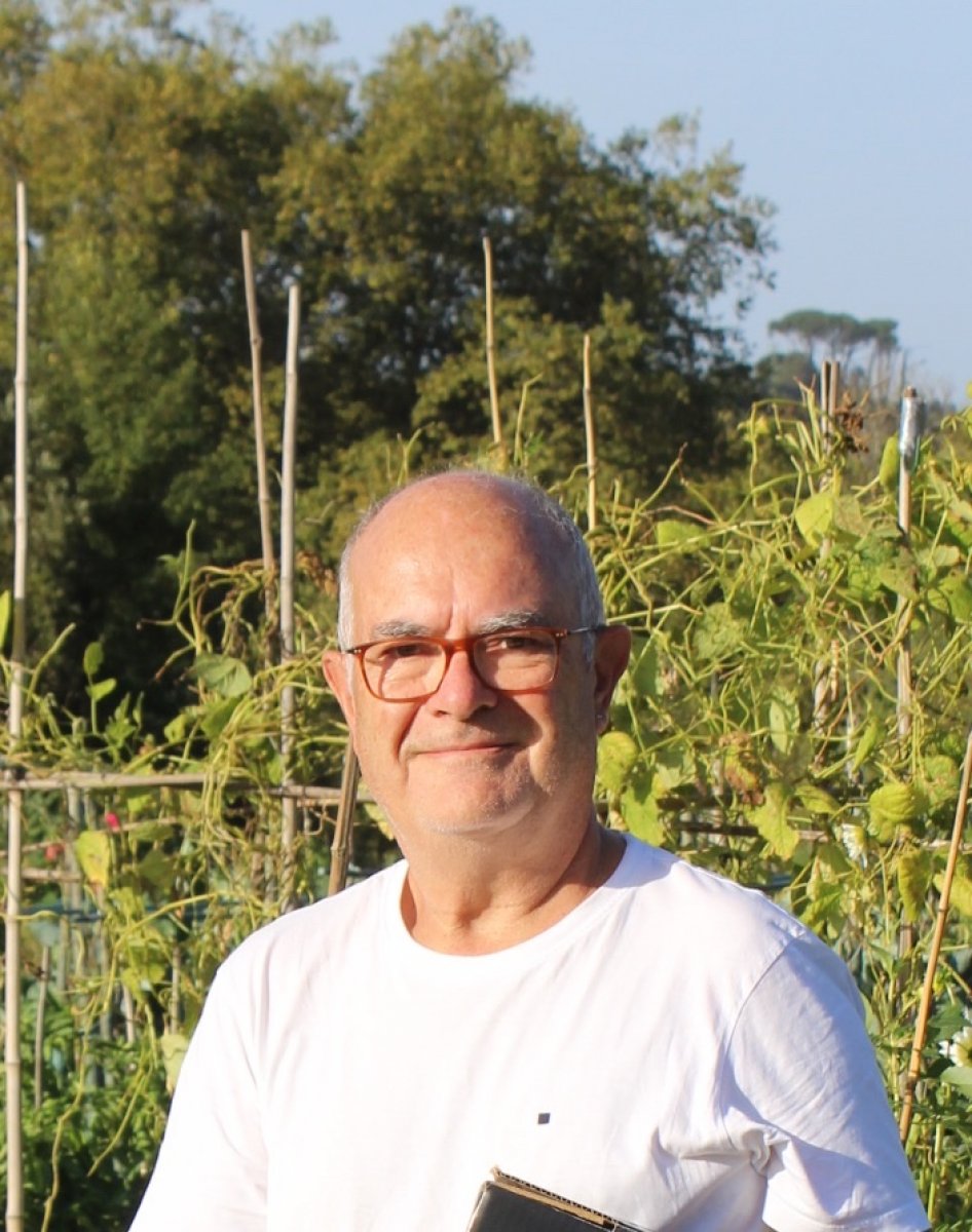Mikel Quintana Arregui