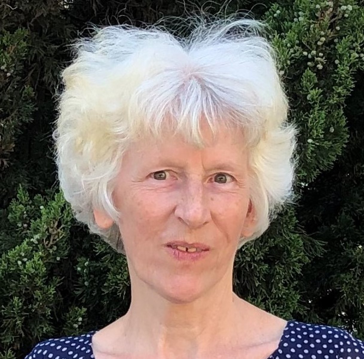Orsolya Harrach