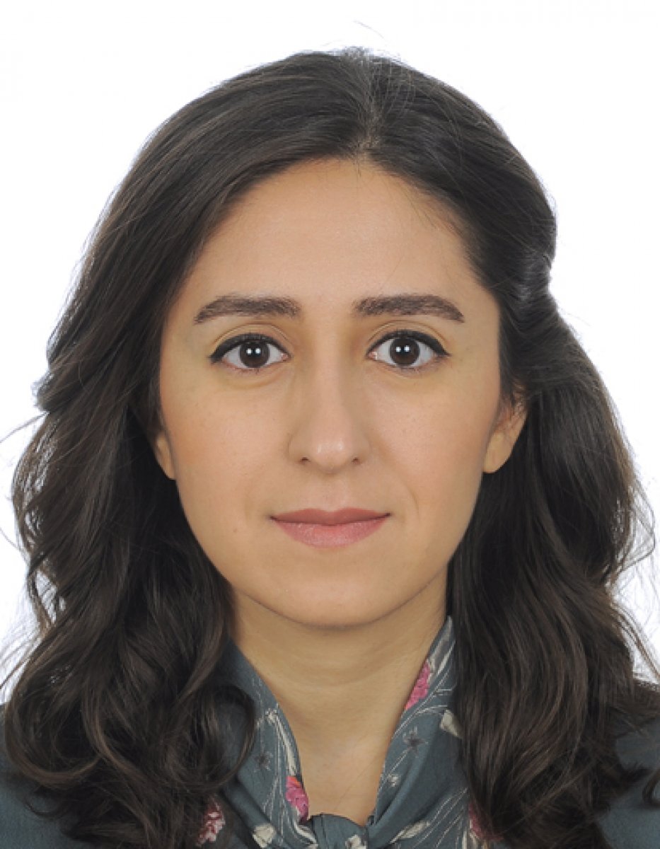 Hanieh Banakar