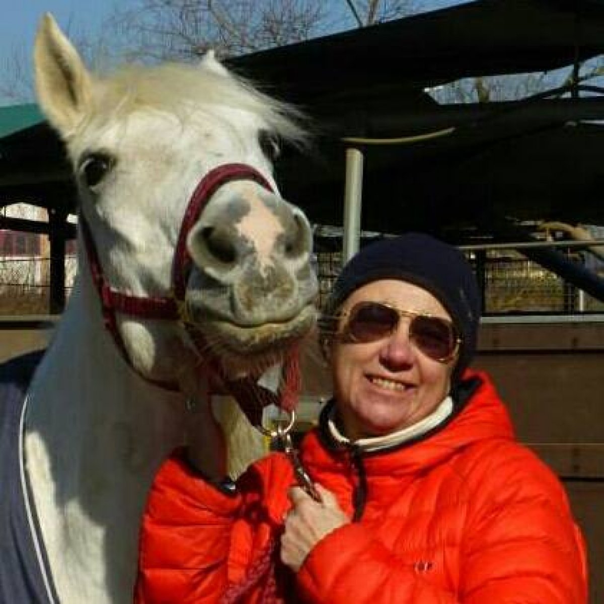 Anna Sisti