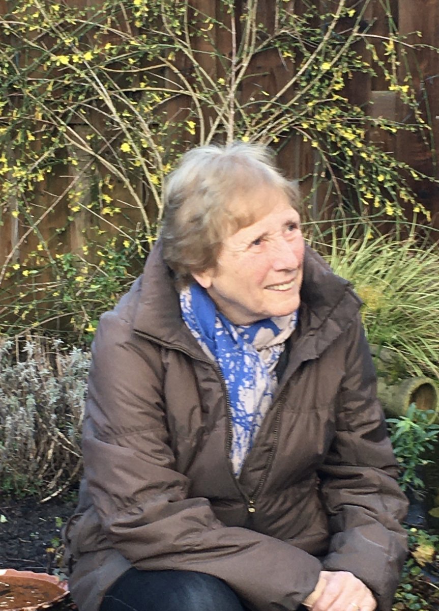 Els Veldman-Schuringa