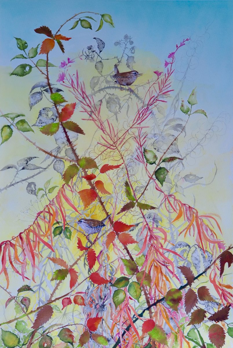 Sheila Anderson Hardy