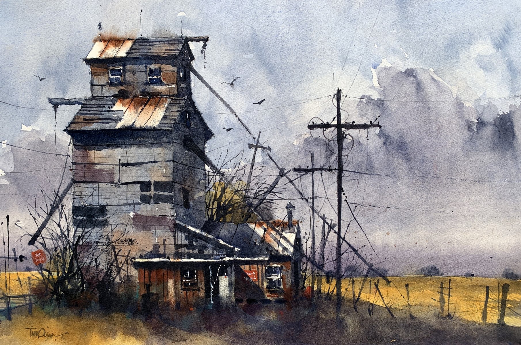 Tim Oliver