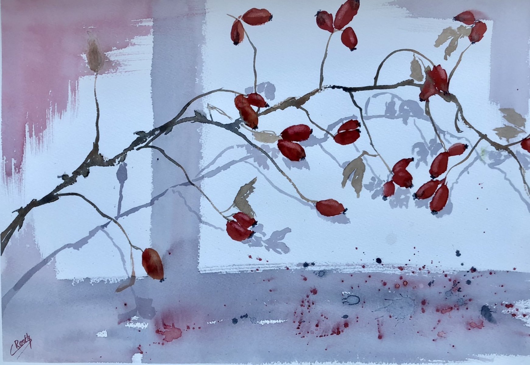 Catharina Rooth